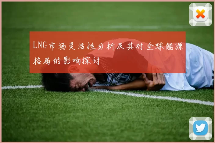 LNG市场灵活性分析及其对全球能源格局的影响探讨