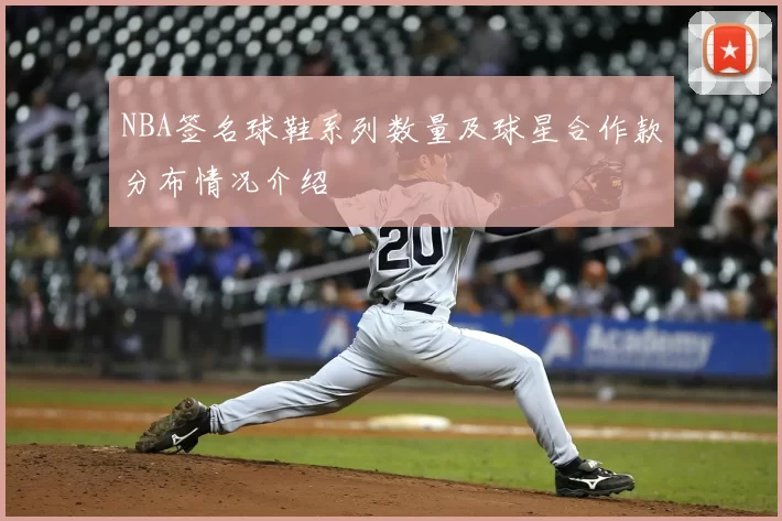 NBA签名球鞋系列数量及球星合作款分布情况介绍
