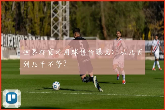 世界杯官方用球售价曝光:从几百到几千不等?