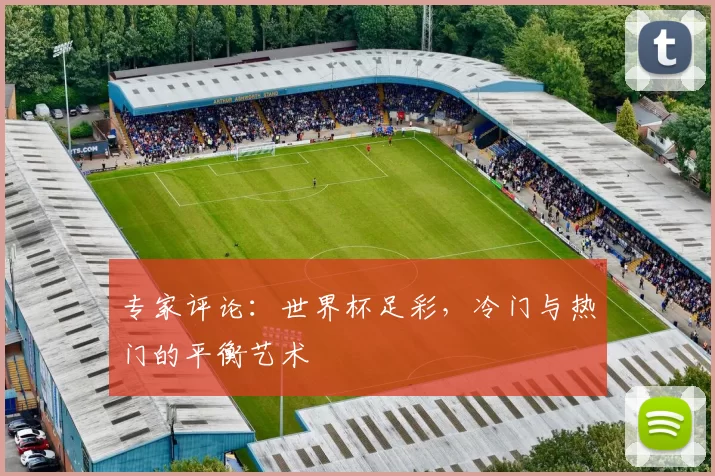专家评论:世界杯足彩,冷门与热门的平衡艺术