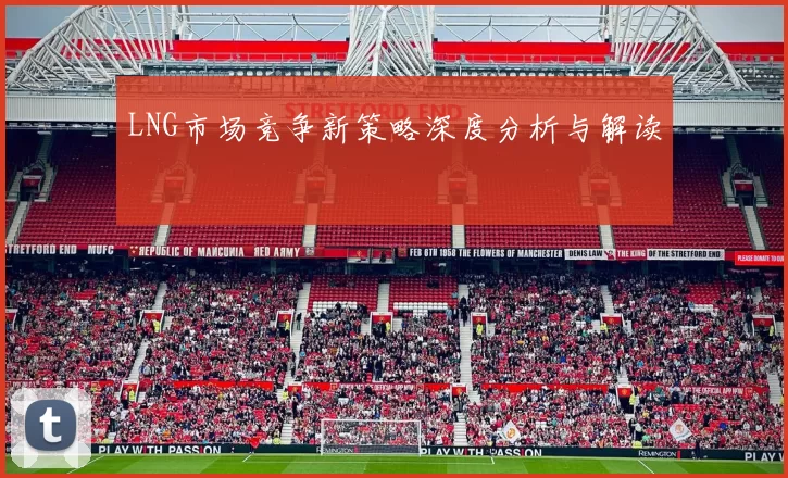 LNG市场竞争新策略深度分析与解读