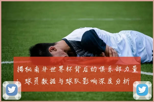 揭秘南非世界杯背后的俱乐部力量：球员数据与球队影响深度分析