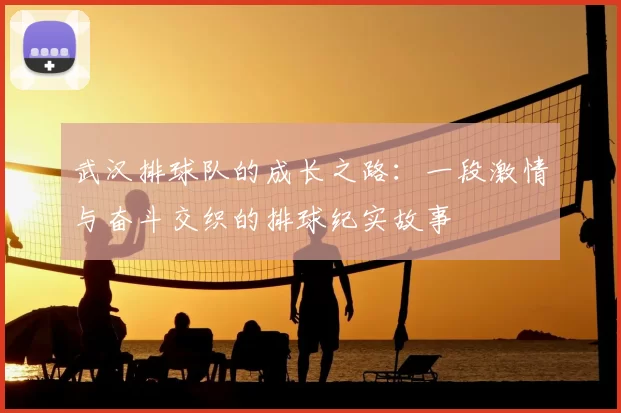 武汉排球队的成长之路：一段激情与奋斗交织的排球纪实故事