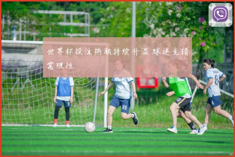 世界杯投注热潮持续升温 球迷竞猜需理性