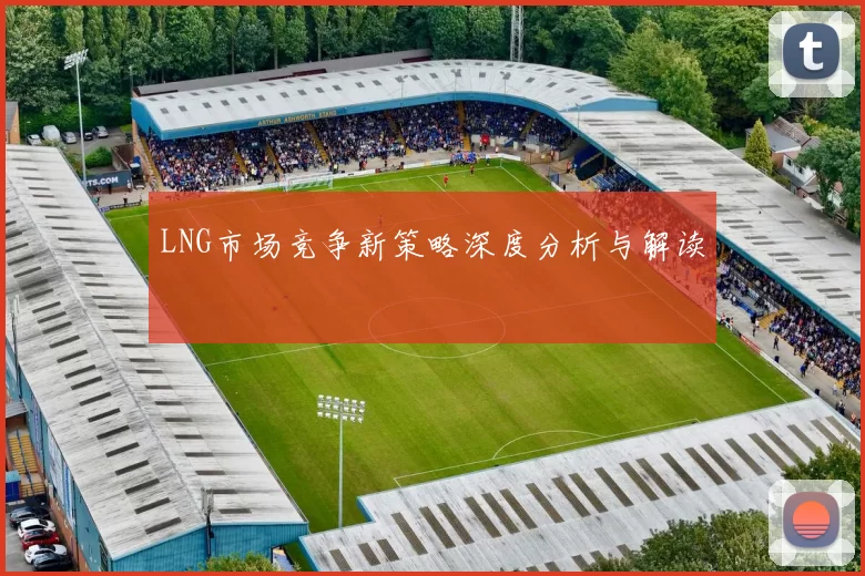 LNG市场竞争新策略深度分析与解读