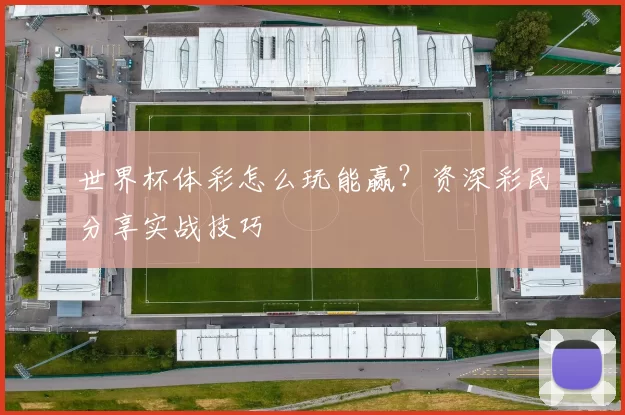 世界杯体彩怎么玩能赢?资深彩民分享实战技巧