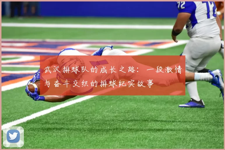 武汉排球队的成长之路:一段激情与奋斗交织的排球纪实故事